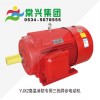 WJX2高溫消防專用三項(xiàng)異步電機(jī)