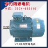 YE3系列防爆電機(jī)